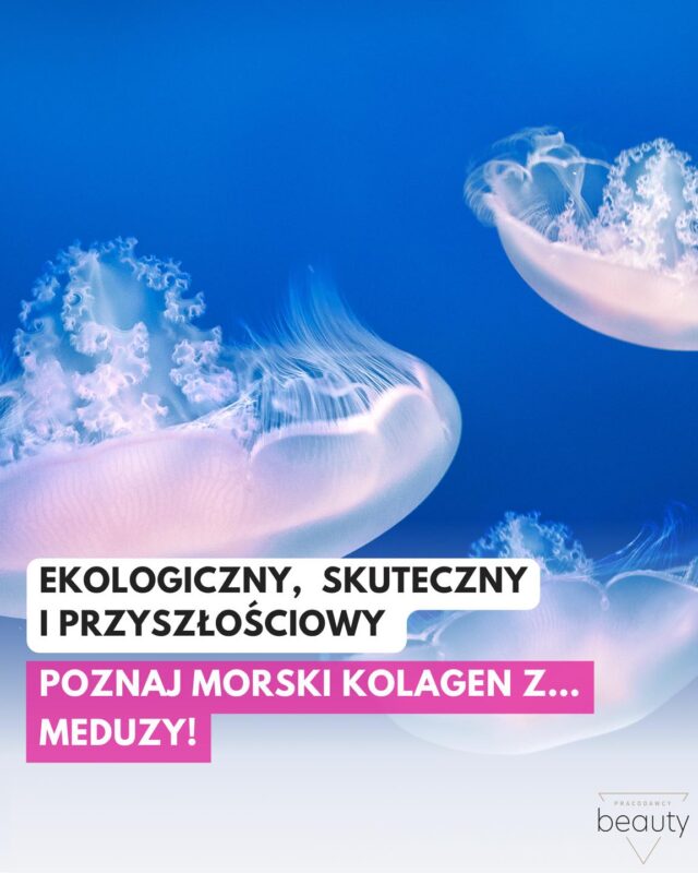Meduzy pływające w wodzie, tło w kolorze granatowym